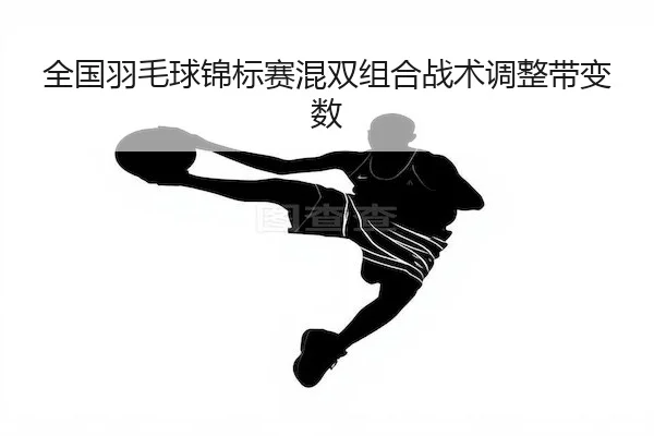 全国羽毛球锦标赛混双组合战术调整带变数
